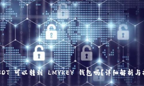 波场 USDT 可以转到 LMYKEY 钱包吗？详细解析与操作指南
