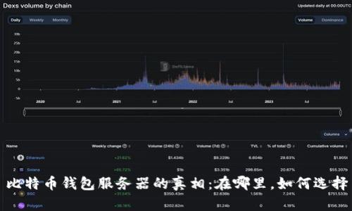 比特币钱包服务器的真相：在哪里，如何选择