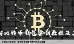 深入了解比特币钱包密钥数据及其安全性
