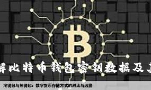 深入了解比特币钱包密钥数据及其安全性